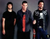 Bam, Steve-O, & Johnny Knoxville